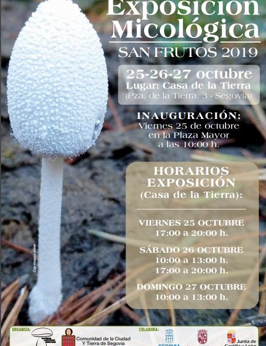 Exposición micológica San Frutos 2019