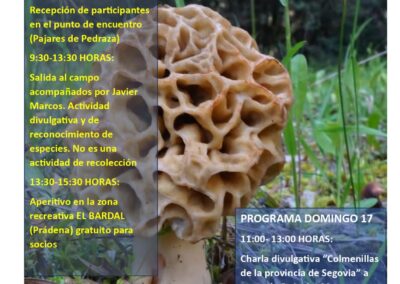 Actividades de la Sociedad Micológica Segoviana “Jornadas Micológicas de Primavera” 2026