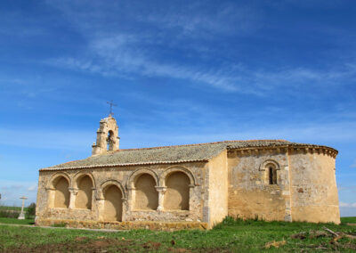 San Miguel 5
